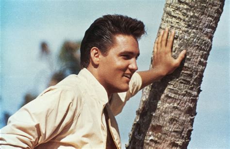 1962 elvis presley movie|watch follow that dream 1962.